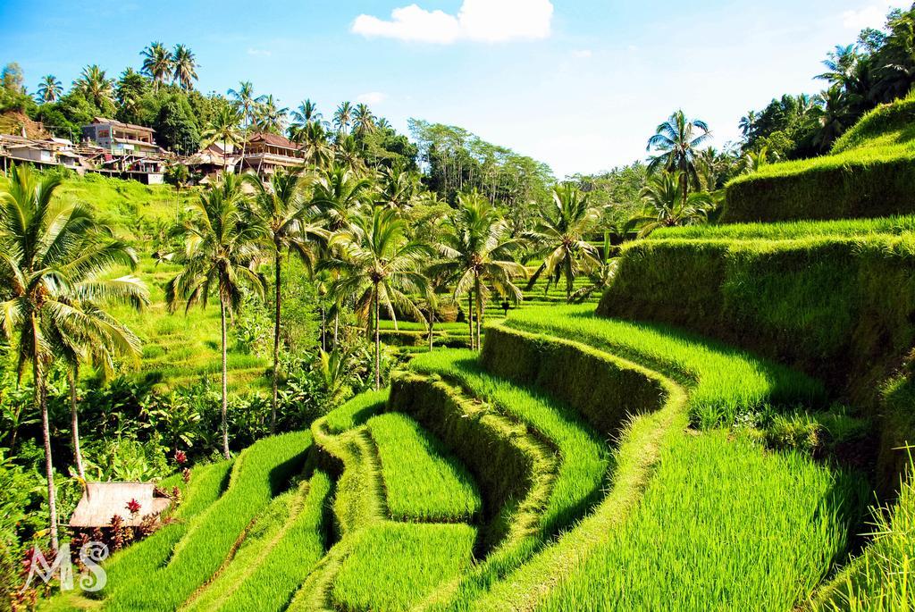 Umalas Hotel & Residence Seminyak Eksteriør bilde
